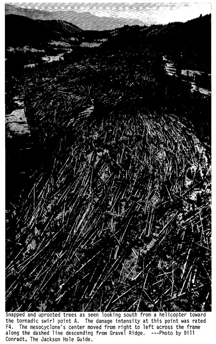 weather_history's tweet image. July 21, 1987:
A massive F4 struck in northwestern Wyoming. The 1.5-mile wide wedge occurred at an elevation of >8000 ft, making this event the highest altitude violent tornado in US history. Around a million trees were snapped, uprooted, or debarked/denuded.
#wxhistory