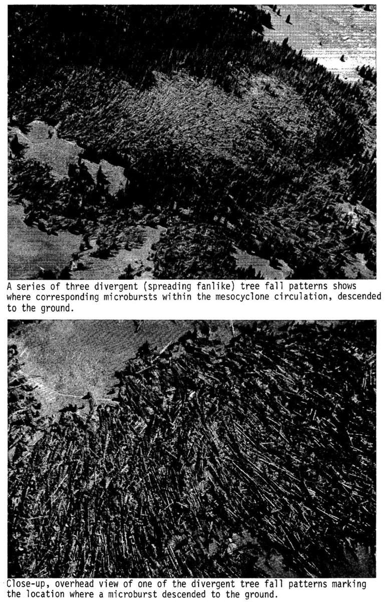 weather_history's tweet image. July 21, 1987:
A massive F4 struck in northwestern Wyoming. The 1.5-mile wide wedge occurred at an elevation of >8000 ft, making this event the highest altitude violent tornado in US history. Around a million trees were snapped, uprooted, or debarked/denuded.
#wxhistory