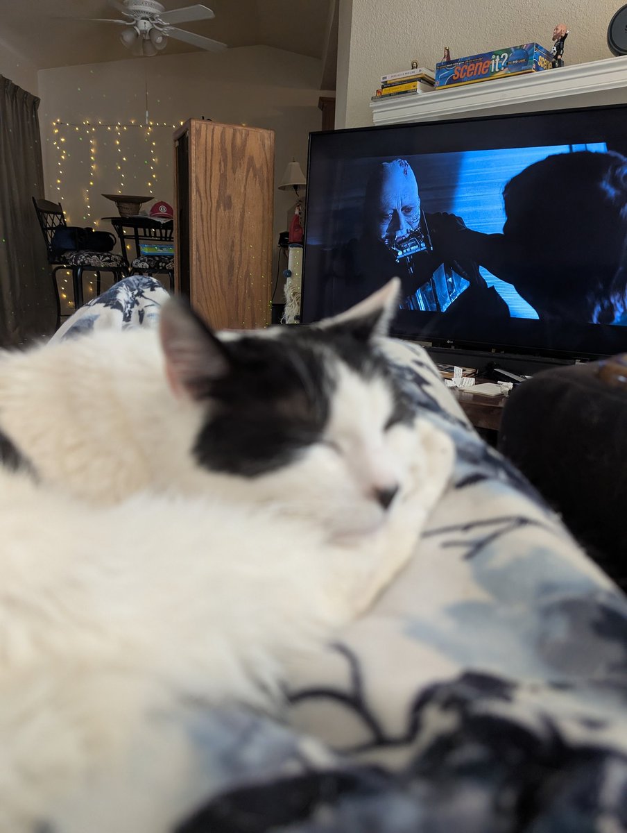 Catus Update