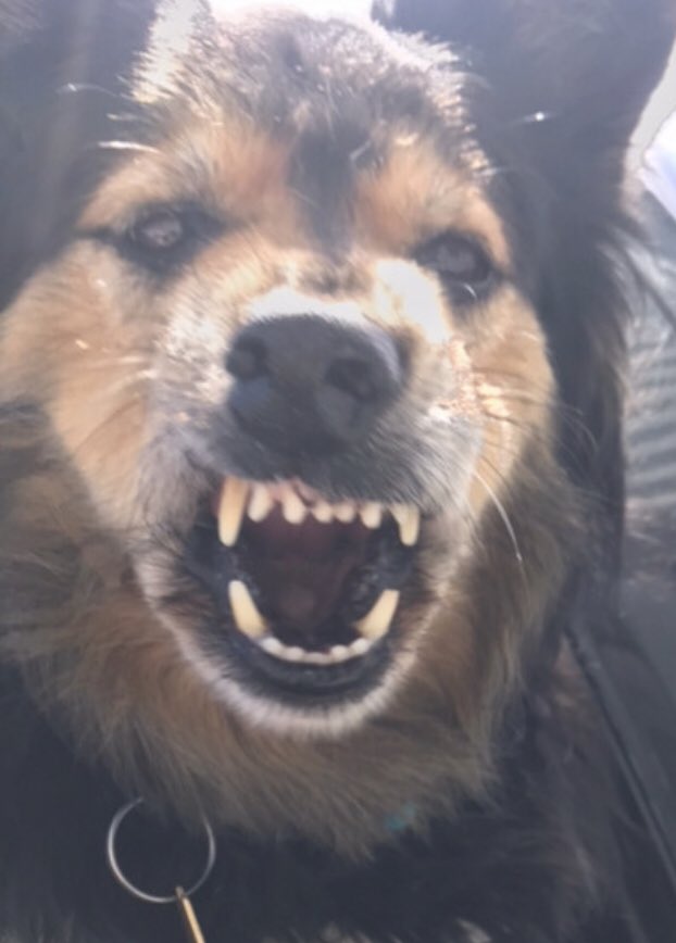 You wanna mess with me?