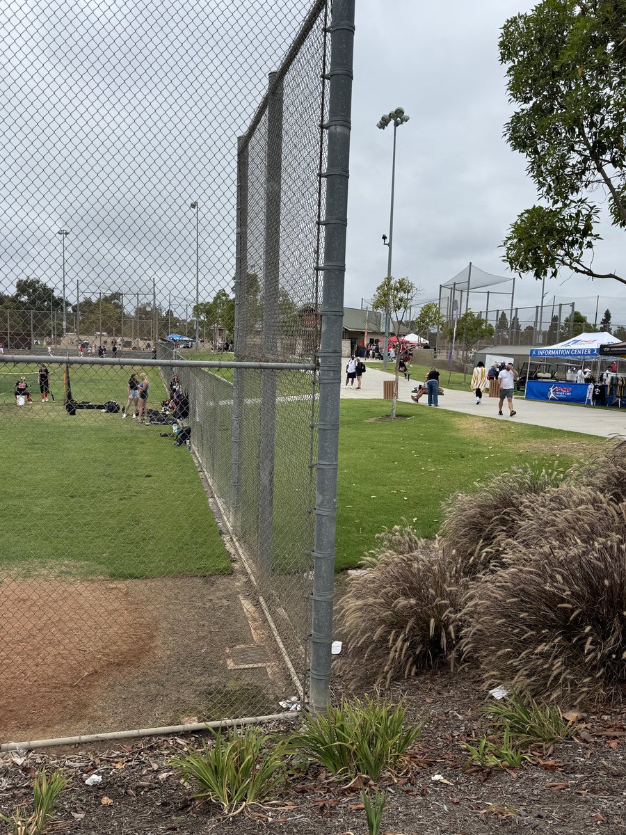 AAMU_Softball's tweet image. Looking for future Bulldogs in SoCal at PGF!!