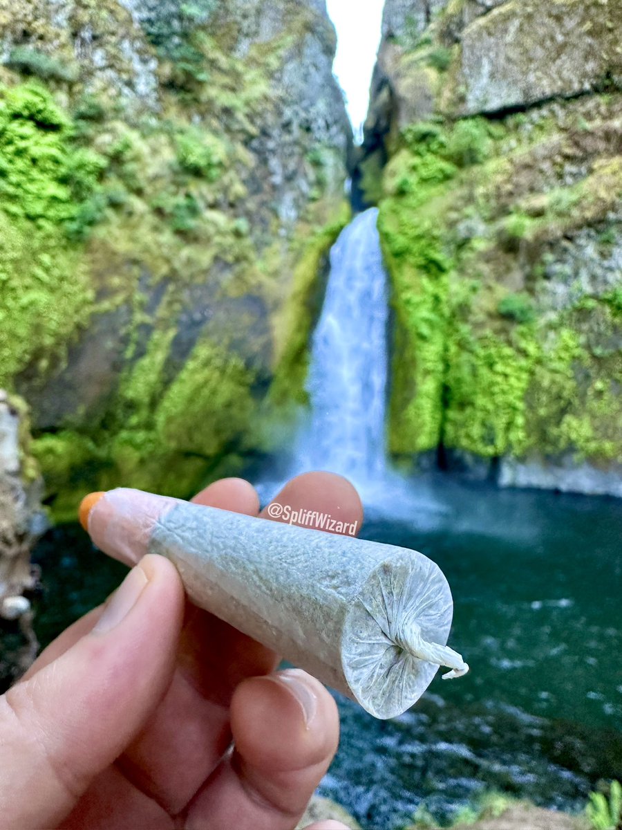 SpliffWizard (@spiiffwizard) on Twitter photo Know a spot 😋
<a href="/SpIiffWizard/">SpliffWizard</a>
#marijuana #cannabis #cannabislife
#StonerFam #420content #weedsmokers #sexystoners #spliffwizard #weedlife Know a spot 😋
<a href="/SpIiffWizard/">SpliffWizard</a>
#marijuana #cannabis #cannabislife
#StonerFam #420content #weedsmokers #sexystoners #spliffwizard #weedlife