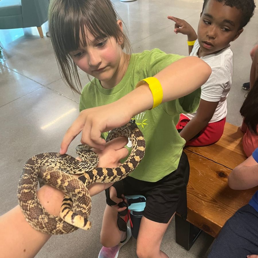 After the Bell - mailchi.mp/70a1d855442f/a…