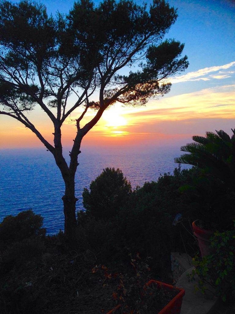 NadiaRossetti24's tweet image. Anacapri 💙🧡💙 Sunset☀️
📷 Anacapri ⛵️ Capri Island
Amalfi Coast 🇮🇹