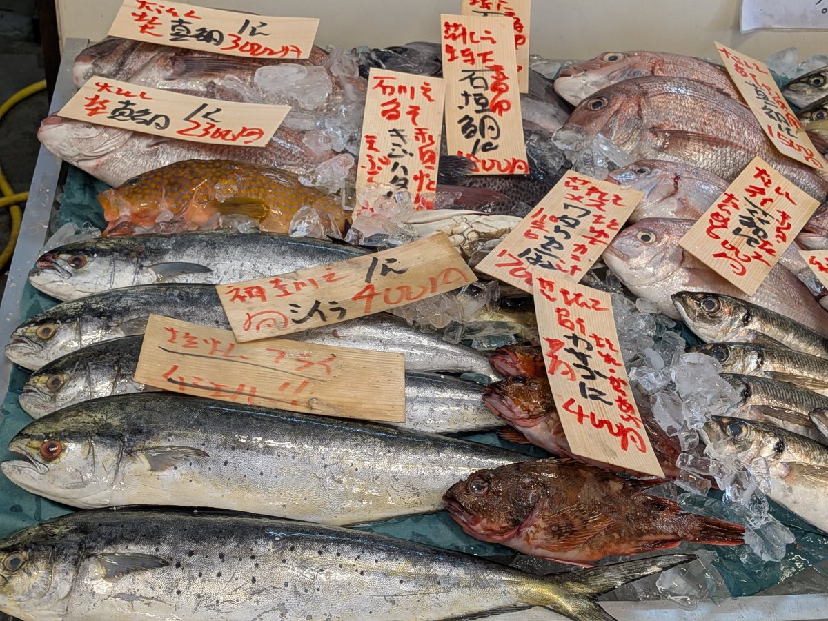 uokeioarai's tweet image. おはようございます、魚結です✨
今日のおすすめは、愛媛産シマアジ(約30cm)(養殖)一尾1500円‼️
お刺身、塩焼き、カルパッチョ等で大変脂があって美味しいお魚です🐟
(お電話でのご注文承っております。)
(7月23日(水)は、定休日です。)
よろしくお願い致します🙇
#シマアジ #大洗