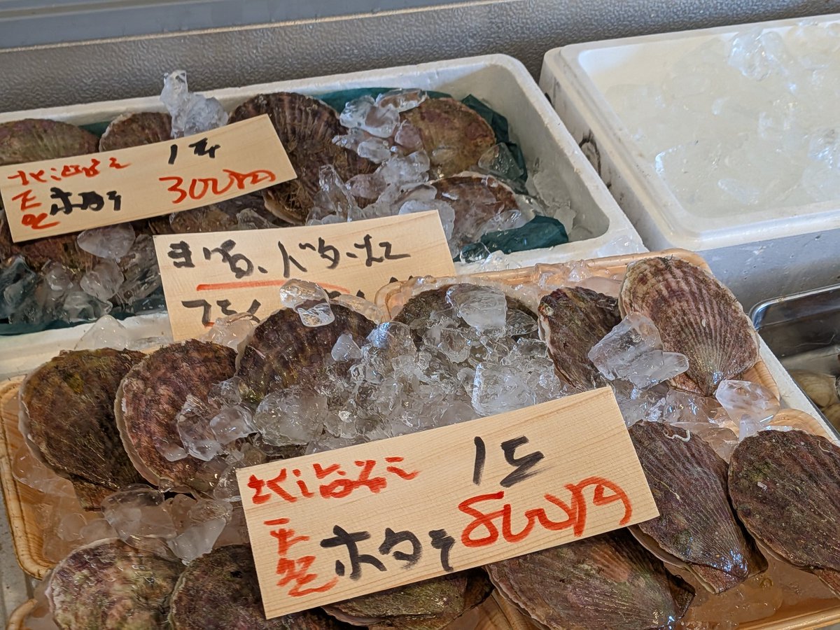 uokeioarai's tweet image. おはようございます、魚結です✨
今日のおすすめは、愛媛産シマアジ(約30cm)(養殖)一尾1500円‼️
お刺身、塩焼き、カルパッチョ等で大変脂があって美味しいお魚です🐟
(お電話でのご注文承っております。)
(7月23日(水)は、定休日です。)
よろしくお願い致します🙇
#シマアジ #大洗
