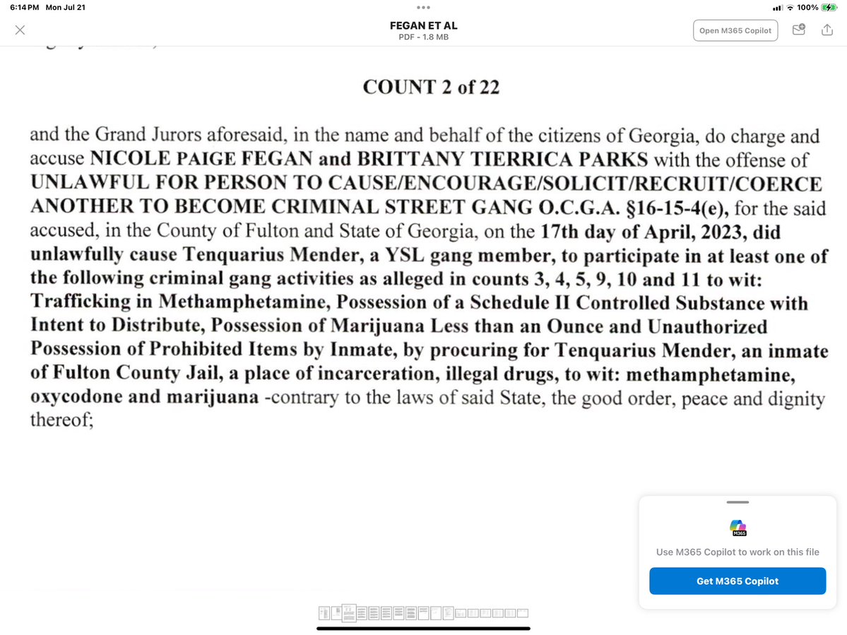 MrDennisByron's tweet image. Breaking News: YSL criminal defense attorney Nicole Fegan has been indicted by a Fulton County Grand Jury on multiple felony counts. This is a developing story. #YSL