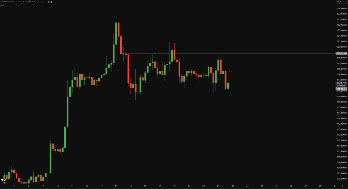 Crypto_Chase's tweet image. $BTC

Bulls want to see 116.8K hold. I think anymore H4 or Daily closes below n we see some downside. For those waiting for confirmation, I think that would come above 120K. A couple closes (H4 or Daily) above there n likely new ATH&apos;s and next leg. Has to show it&apos;s hand soon imo.