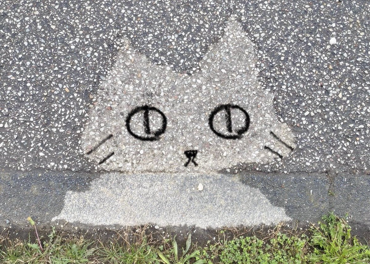 liliadeae's tweet image. there is a cat everywhere for those with eyes too see