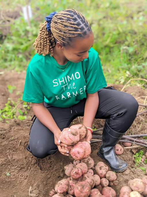 Every big dream starts as a tiny seed! 

Great ventures begin with small beginnings. Keep your vision alive!