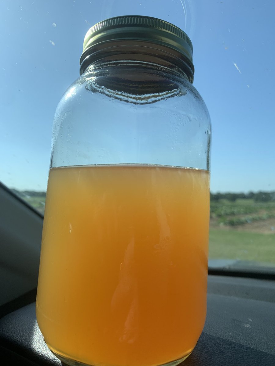 BHolshouserUS's tweet image. Here in Stratford promoting. Grabbed a quart of peach tea and met the Peach Queen!
Not sure she'll ever see this but everyone say hi to Abby! She was super nice!