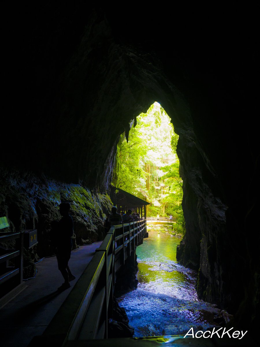 AccKKey's tweet image. おはようございます
朝からセミが大合唱の平日に戻った山口県東部
夏の暑さを実感
みなさんお疲れでしょうが 熱中症にお気をつけてお過ごしください
#ファインダー越しの私の世界 #AccKKey
#お写ん歩
山口県 #秋芳洞