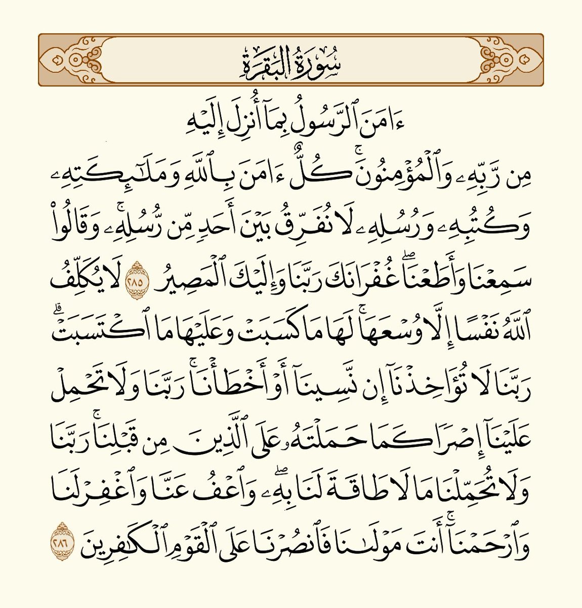 dd646__'s tweet image. 