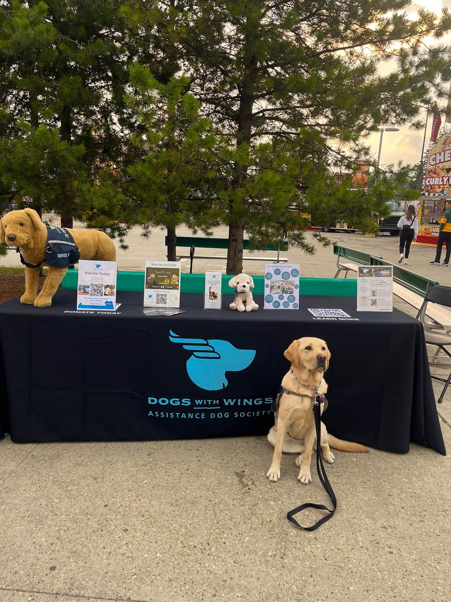 🐾✨ We had a magical morning at Monday Morning Magic! 💫💛

-

#Dogswithwings #servicedogs #assistancedogs #yeg #yegevents #mondaymorningmagic #Accessibility #accessibilitymatters