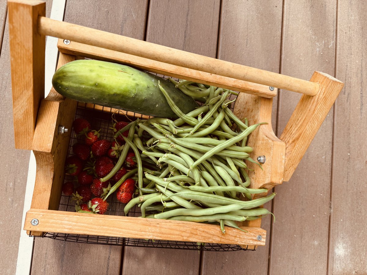 Our plants are happy we came home. 🏡 <a href="/ChrisWigent/">Chris Wigent</a>