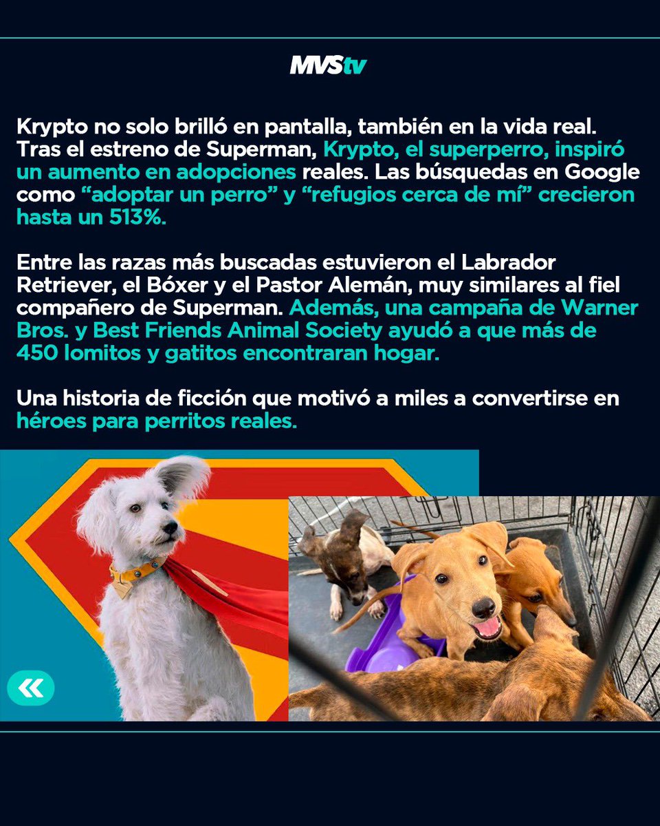 ¿Sabías que tras el estreno de Superman las adopciones de perros aumentaron 513%? 🐶✨

Krypto, el superperro, motivó a miles a buscar un amigo peludo. Descubre cómo la ficción cambió vidas. 👇

#MVSTV #Krypto #Superman