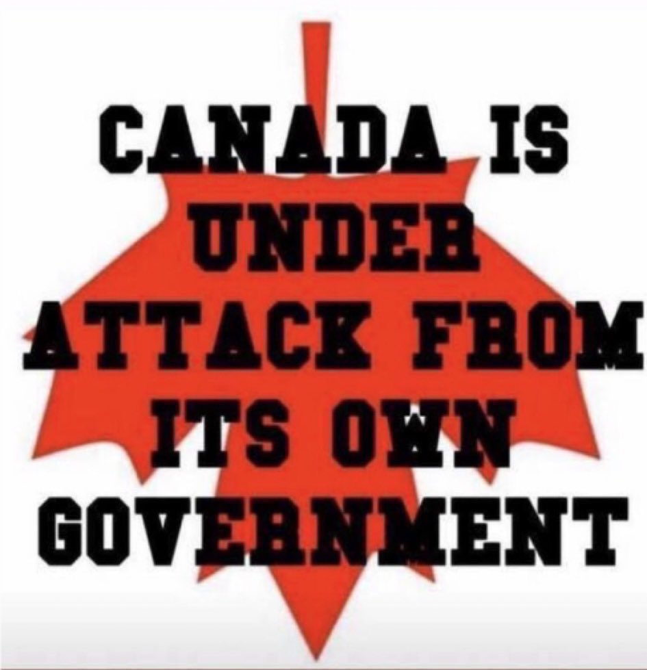 KelliDPowers's tweet image. Just look at what’s happening with @LichTamara and @ChrisBarber1975
Better not make the government look foolish or you’ll get a possible 7-8 yrs prison sentence. Don’t worry though all other criminals are on a revolving door system.