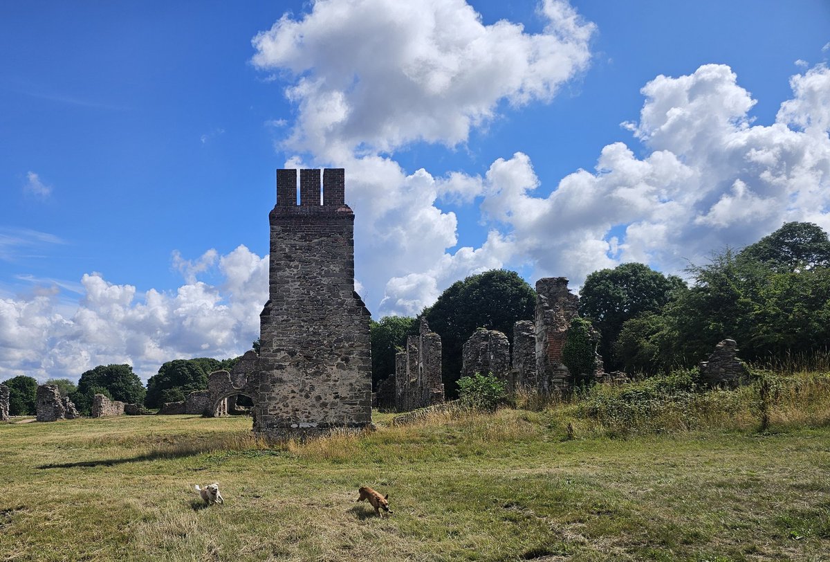 MumbrianSpinner's tweet image. Today was Thringstone Woods and Grace Dieu Priory with my pal, Di. The dogs got pigs in blankets afterwards at The Bull and were delighted π