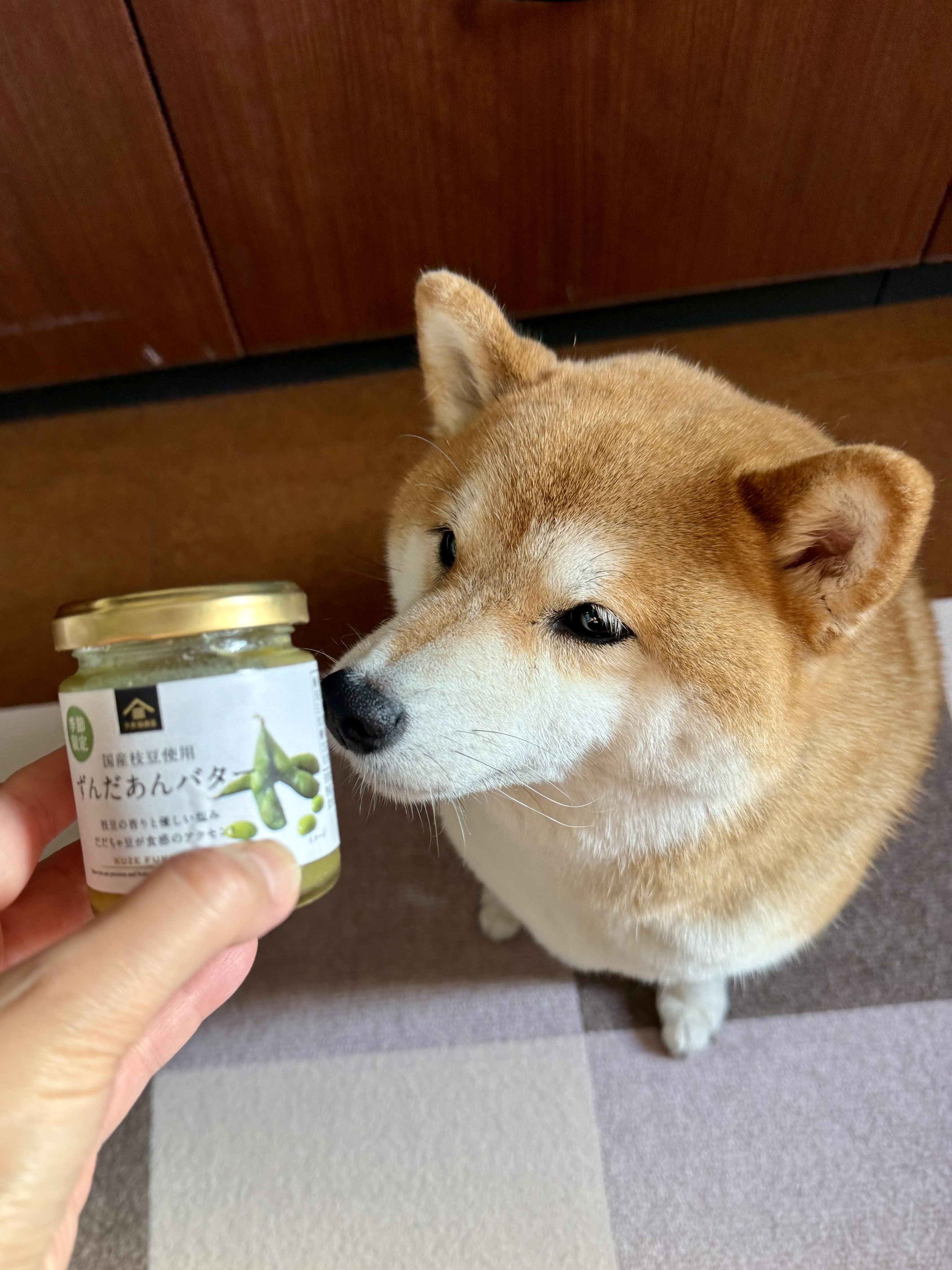 BAGGU バグー　柴犬 BAGGU - バグゥ 日本限定 柴犬 エコバッグの通販 by my＊SHOP