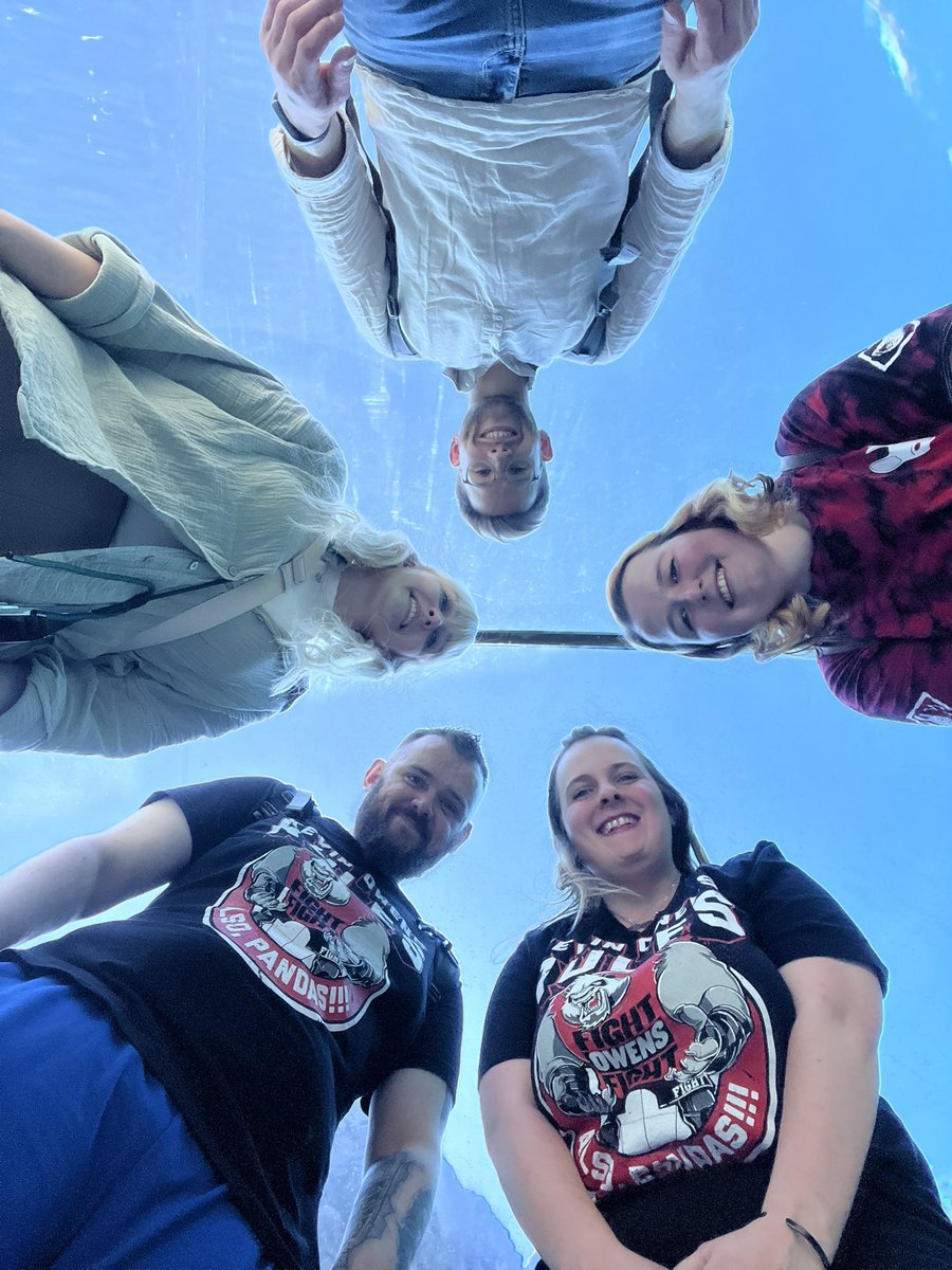 Andrea ✨ tweet media