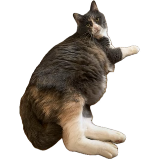 hiromikato's tweet image. ステッカーっていう機能はじめて知って、きのう憑かれたように大量に作った。