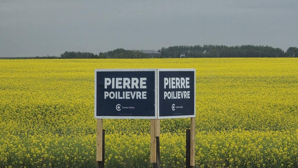TheRealKeean's tweet image. I've just driven through all of Battle River-Crowfoot. Not a single non-conservative sign anywhere to be seen.