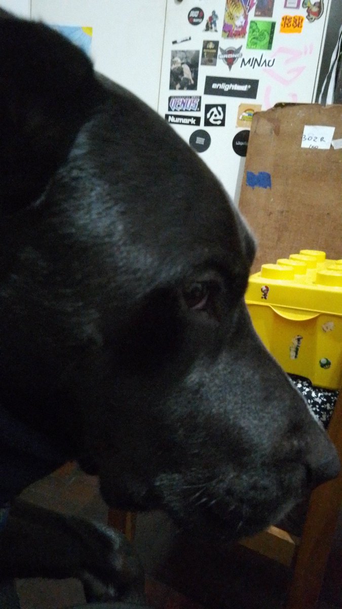 Lord Dursh (@lorddursh) on Twitter photo 