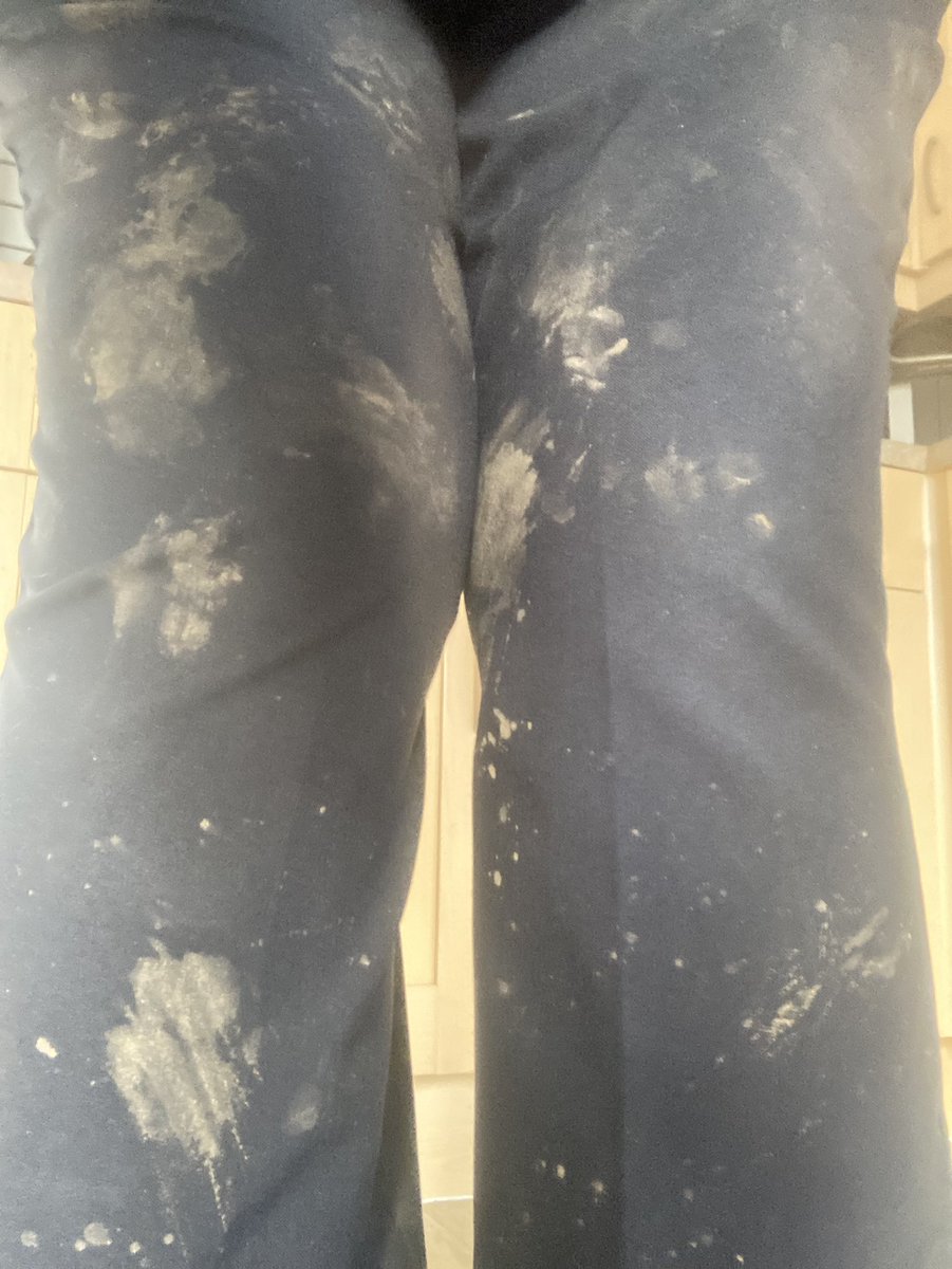 Telling you I have a dog without showing Barry! 🐾🤣