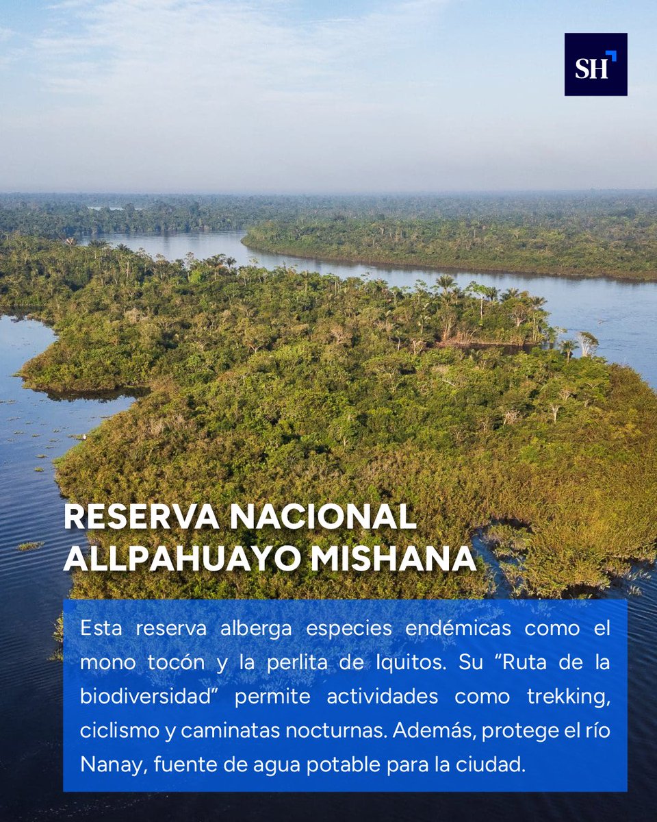 StakeholdersRS's tweet image. 🌿Desde los pingüinos de Humboldt en las Islas Palomino hasta las vicuñas de Ayacucho o los osos de anteojos en Oxapampa, cada destino protege ecosistemas únicos 🐧🦙🐻

#FiestasPatrias2025 #TurismoSostenible #ÁreasNaturalesProtegidas #PerúResponsable #Noticias #Perú