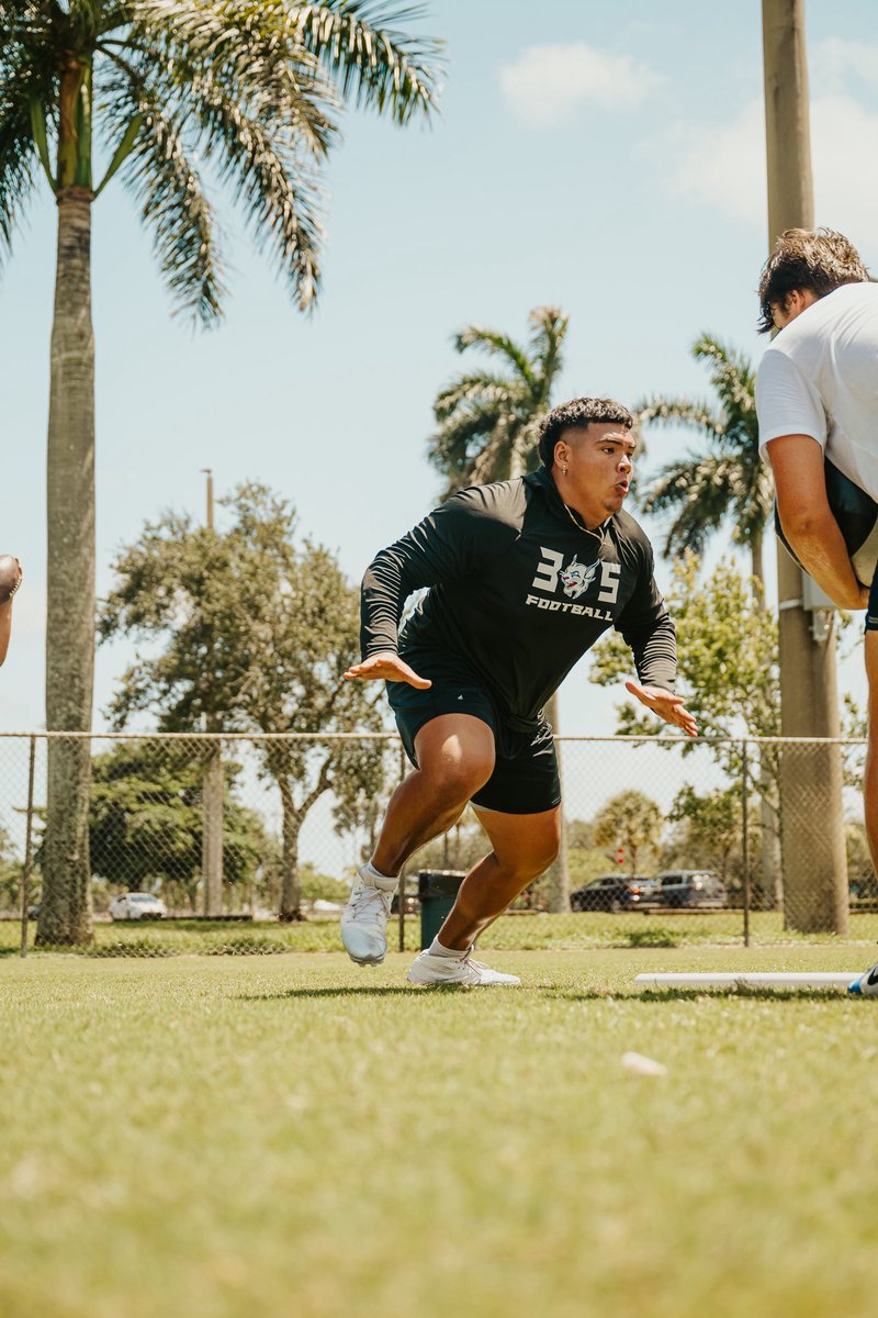 Benjamin Diaz tweet media