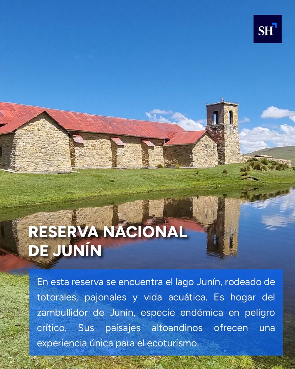 StakeholdersRS's tweet image. 🌿Desde los pingüinos de Humboldt en las Islas Palomino hasta las vicuñas de Ayacucho o los osos de anteojos en Oxapampa, cada destino protege ecosistemas únicos 🐧🦙🐻

#FiestasPatrias2025 #TurismoSostenible #ÁreasNaturalesProtegidas #PerúResponsable #Noticias #Perú