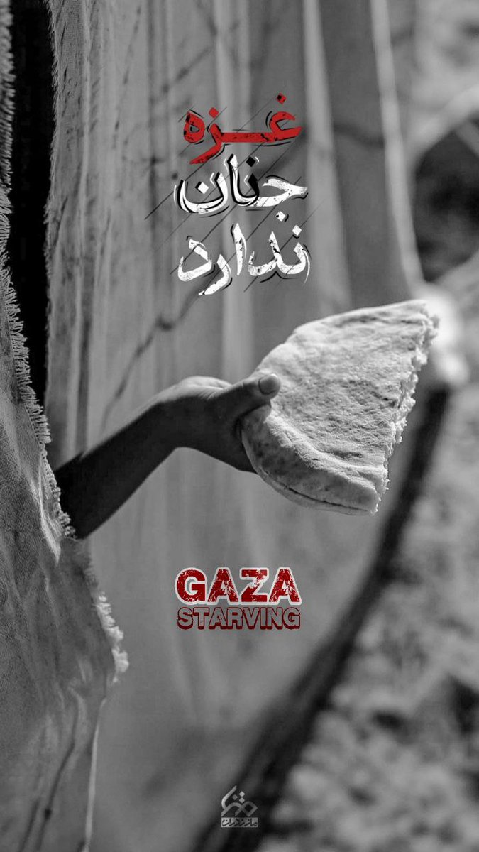 hgh146831's tweet image. 💢 #غزه جـ‌نان ندارد
#gazagenocide