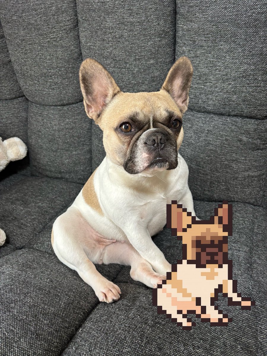 ししゃもん｜フレブル【ひめ】 tweet media