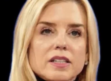 DrewHLive's tweet image. I will mock Pam Bondi relentlessly in hopes it will cause her to deliver some serious deep state prosecutions
How high should my hopes be?