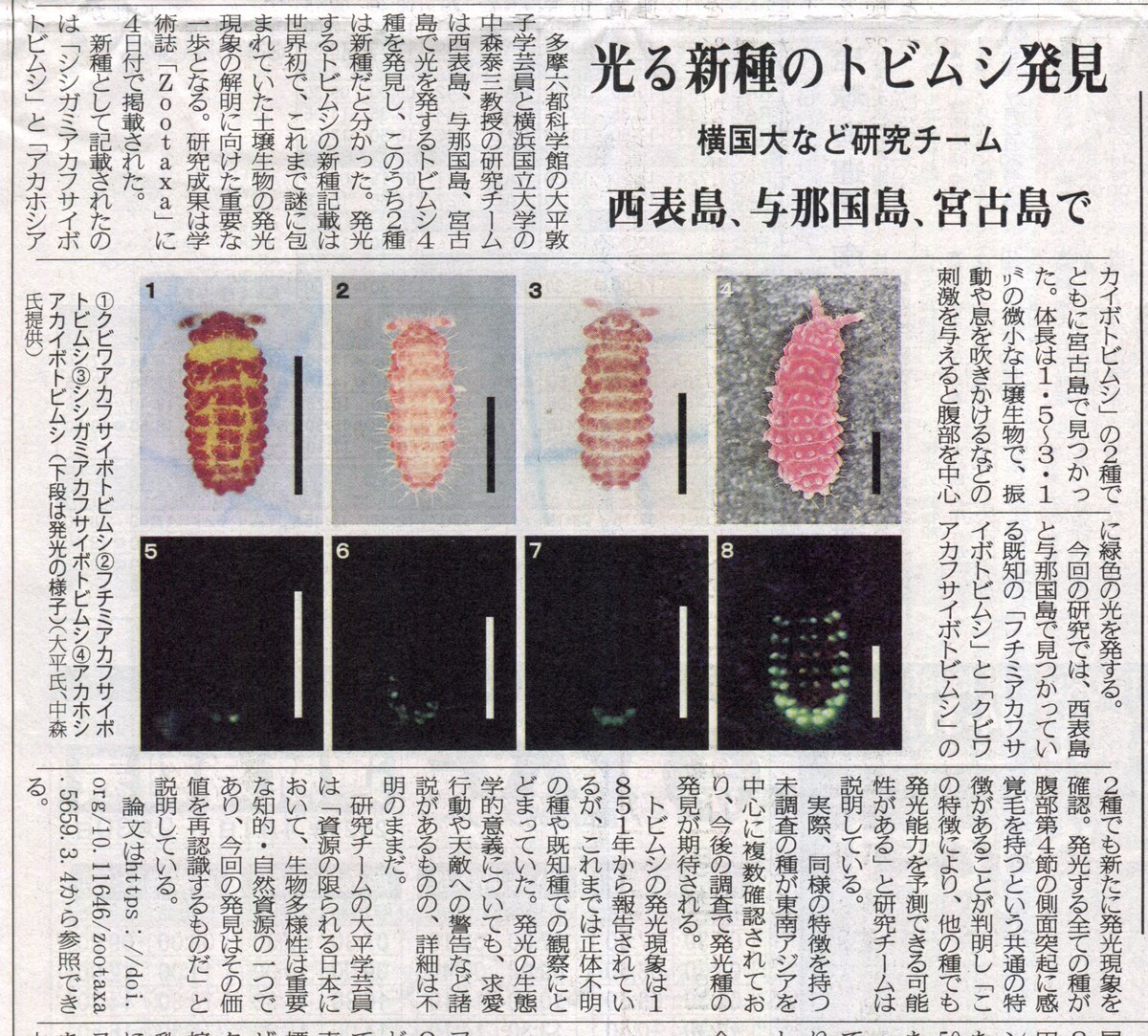 【特価】『琉球列島採集観察地ガイド』『シン・八重山諸島採集観察地ガイド。』2冊組 琉球列島採集観察地ガイド』・『シン・八重山諸島採集観察地