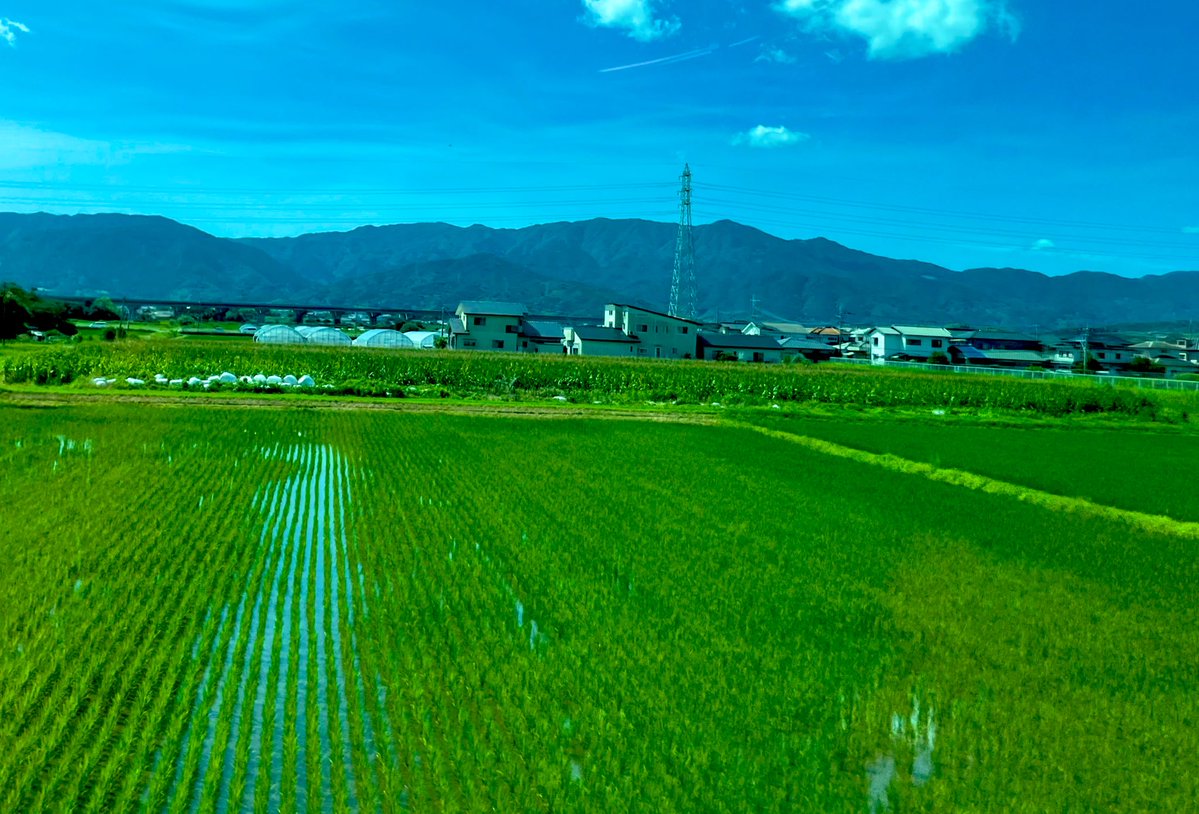 nhatae's tweet image. 法事で福岡に帰省。
波多江家の聖地、波多江駅も通過。
(本日は福岡よりリモートワークしてます)