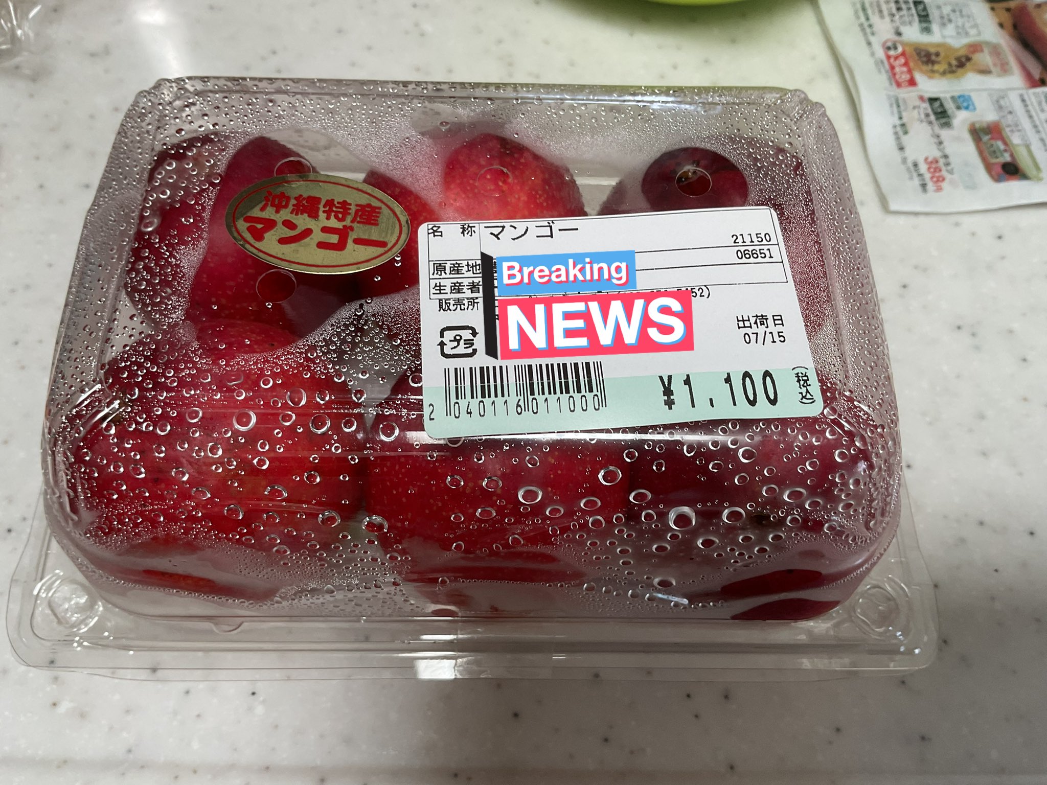 〈直売所コスパ最強〉沖縄県産 Ｏさんのゴーヤ 約6.4kg【常温便】③ A1AaQe5IDHL._UF350,350_QL50_.jpg