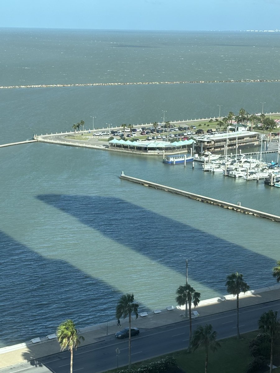 CaseyMattox_'s tweet image. You might think “Gary, Indiana!” But you’d be wrong.
Corpus Christi.