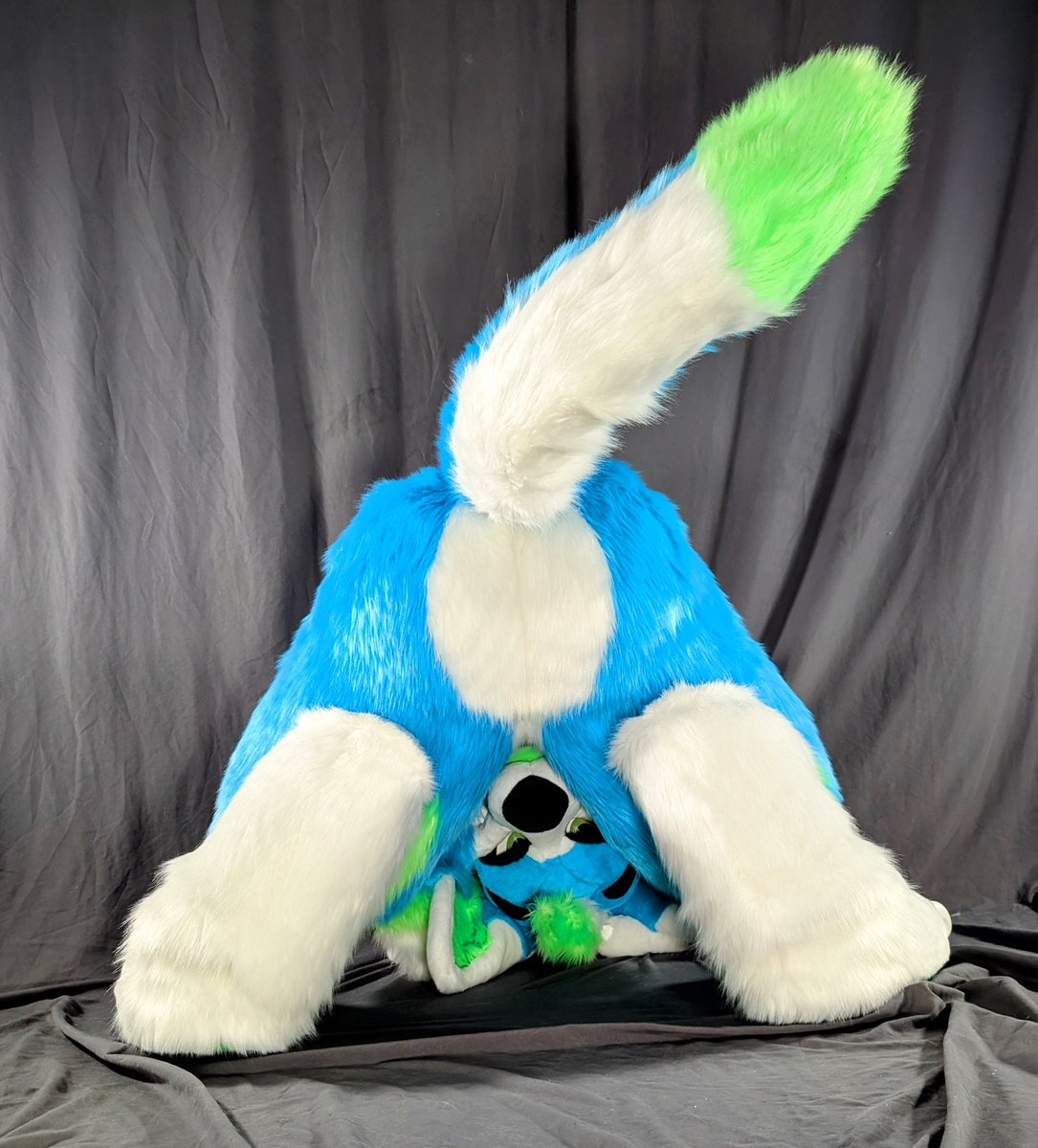 Very excited to announce that I am officially a MFL family member! 

This is my secondary character Zoomer!
They did a fantastic job bringing him to life and I am beyond excited to receive him in the next couple of weeks!
.
#fursuit #morefurless