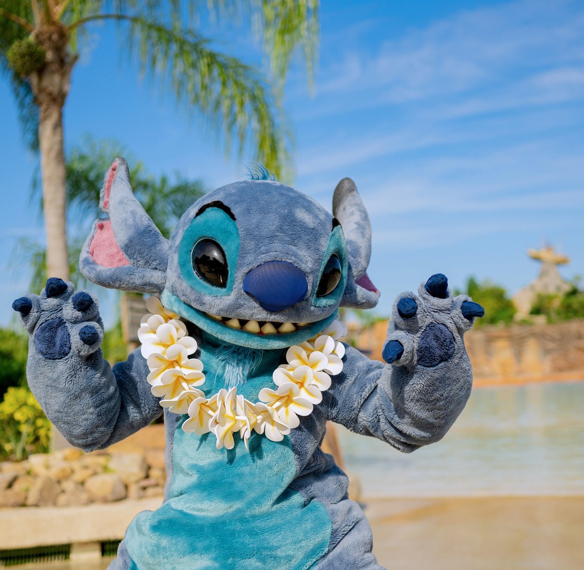 disneyjp's tweet image. ⋱ アロハ~🌺🤙 ⋰
3連休明けの朝も
スティッチの笑顔を見たら元気が出そう😆🌈
スティッチに「アロハ🤙」であいさつしてね!
今日も笑顔でいってらっしゃい🌺✨
#フロリダディズニー
#スティッチ