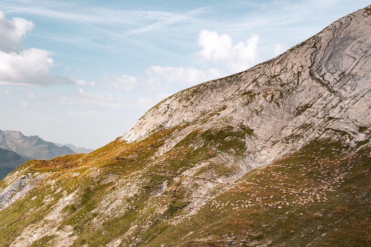 PNASNews's tweet image. Sediments in Lake Bourget, France, record three major soil erosion events in the European Alps between 3,800 years ago and the present, all likely attributable to human agricultural activity. The study could inform agricultural policy. In PNAS: ow.ly/GBv950WrsUi