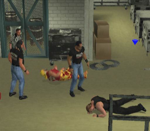 "Damn it they broke the door"  Yes You can Irish whip and smash your opponents through it now.