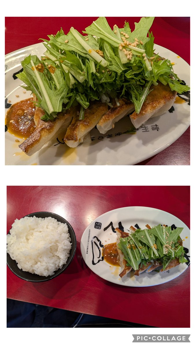 Televiken3rdGen's tweet image. #麺匠佐蔵佐久店
7/21㈰昼
佐蔵味噌らぅめん大盛り
つけ麺︰魚介味噌
安養寺餃子
ライス
佐久市ご当地🍜安養寺らーめん!濃厚さとコクでも口当たり優しい味噌スープに中太麺が絡む…食べてる私を優しく包み込むようならーめん🥰✨つけ麺のつけだれは安養寺味噌にプラス魚介!!🍜も🥟もめっちゃ美味い‼️