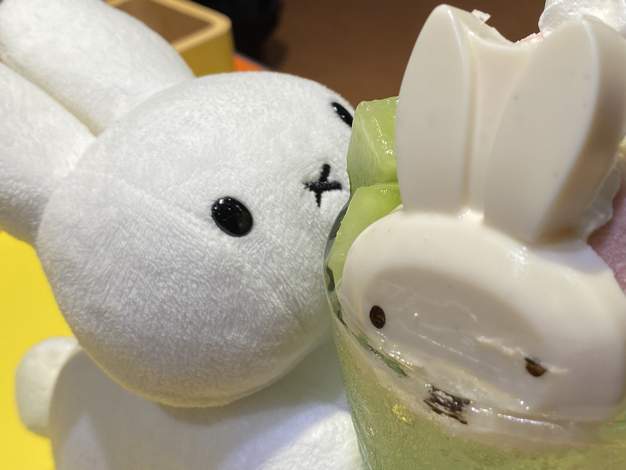 うさぎ♡ 野生のうさぎ on X: 