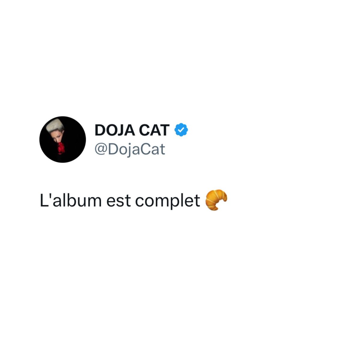 DojaPortal's tweet image. .@DojaCat CONFIRMS her new upcoming 5th studio album "VIE" is officially complete!
