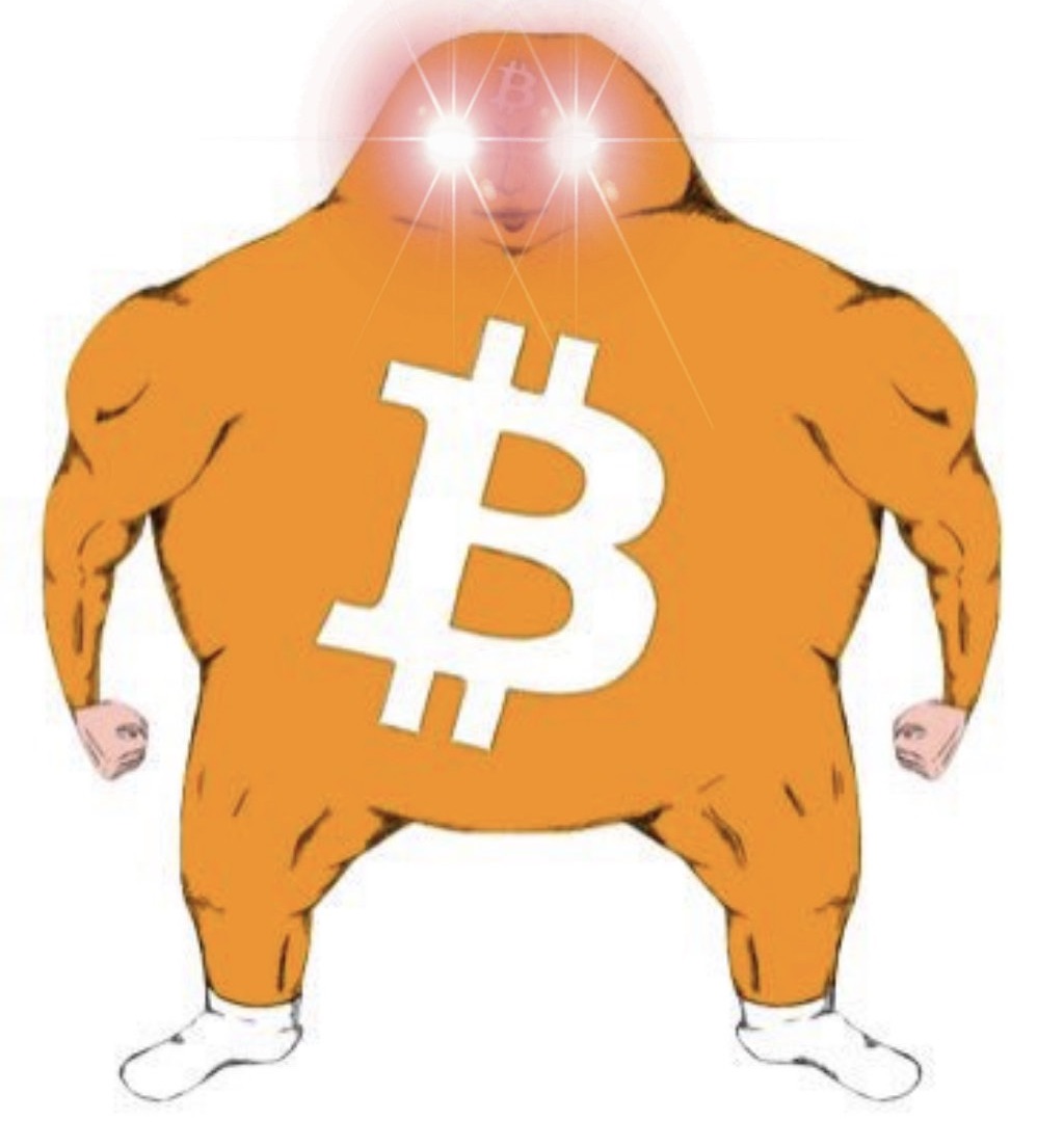NikoJilch's tweet image. The option to digitally move value over space and time is a breakthrough for humanity.
Bitcoin as a concept and an invention is so big and important that any comparison or explanation must fall short.
Memes do a better job.