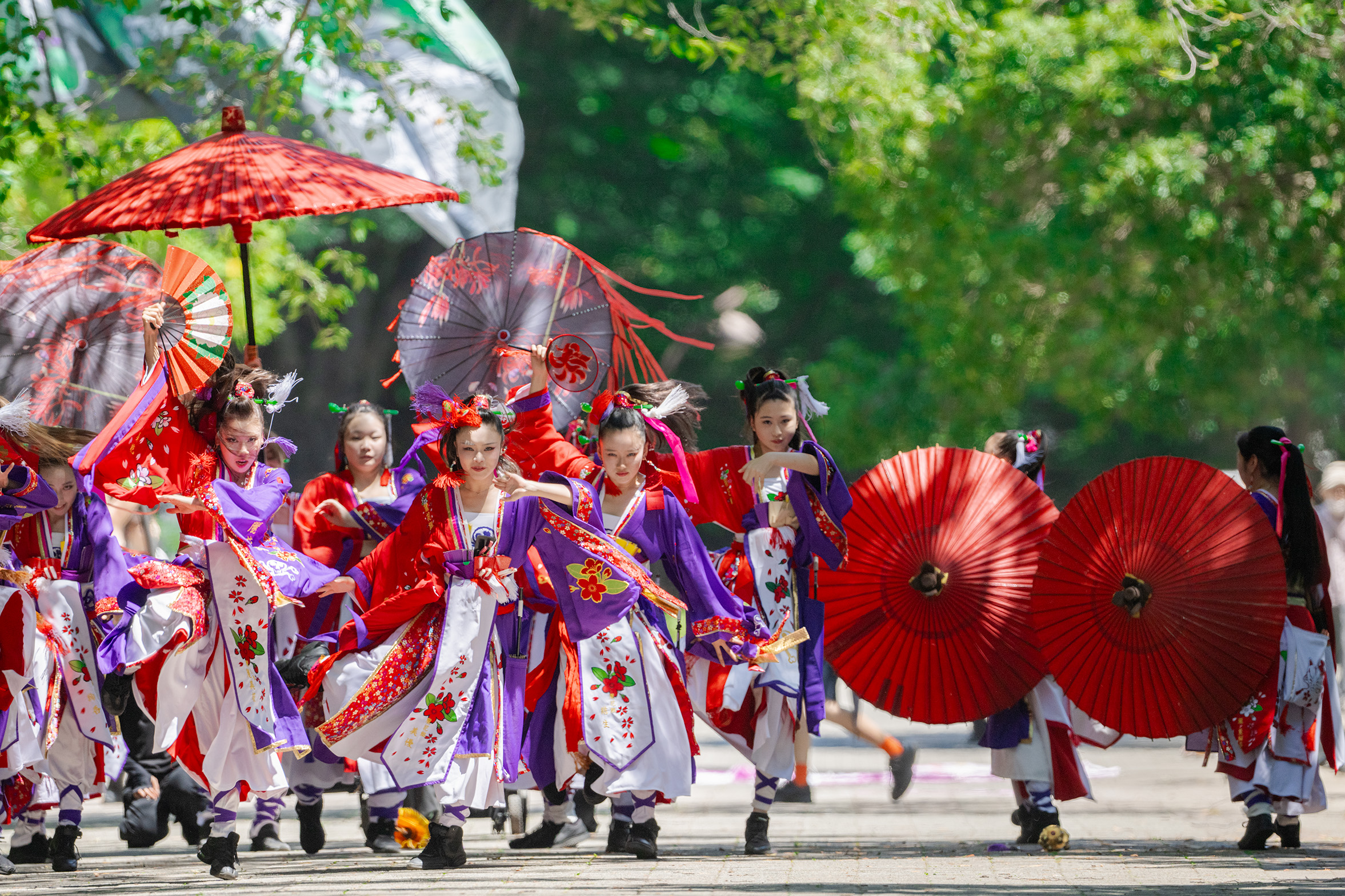 ピグモンの夏祭り 4K]いづる -Izul-（よさこい祭りin光が丘公園 2025 day3/けやき