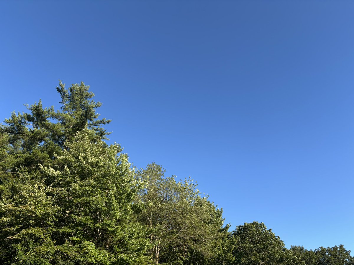 sub__tara's tweet image. We even had a nice little chill in the air all day… feels good to breathe… like it’s supposed to be! ☀️☀️☀️