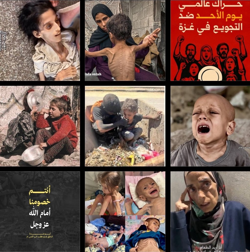 لا تنسوا أخوانكم المستضعفين من الدعاء ومن النشر
ولا تخذلوهم حتى ب الكلمه 👍🏻
#غزة_تقتل_جوعاً
#غزه_تموت_جوعاً
#GazaStarving
#حكام_العرب_خونه
#Gazze_açlıktan_ölüyor
#غزہ_بھوک_سے_مر_رہاہے۔
#Gaza_is_dying_of_hunger
#افتحوا_معبر_رفح #أفتحوا_الحدود