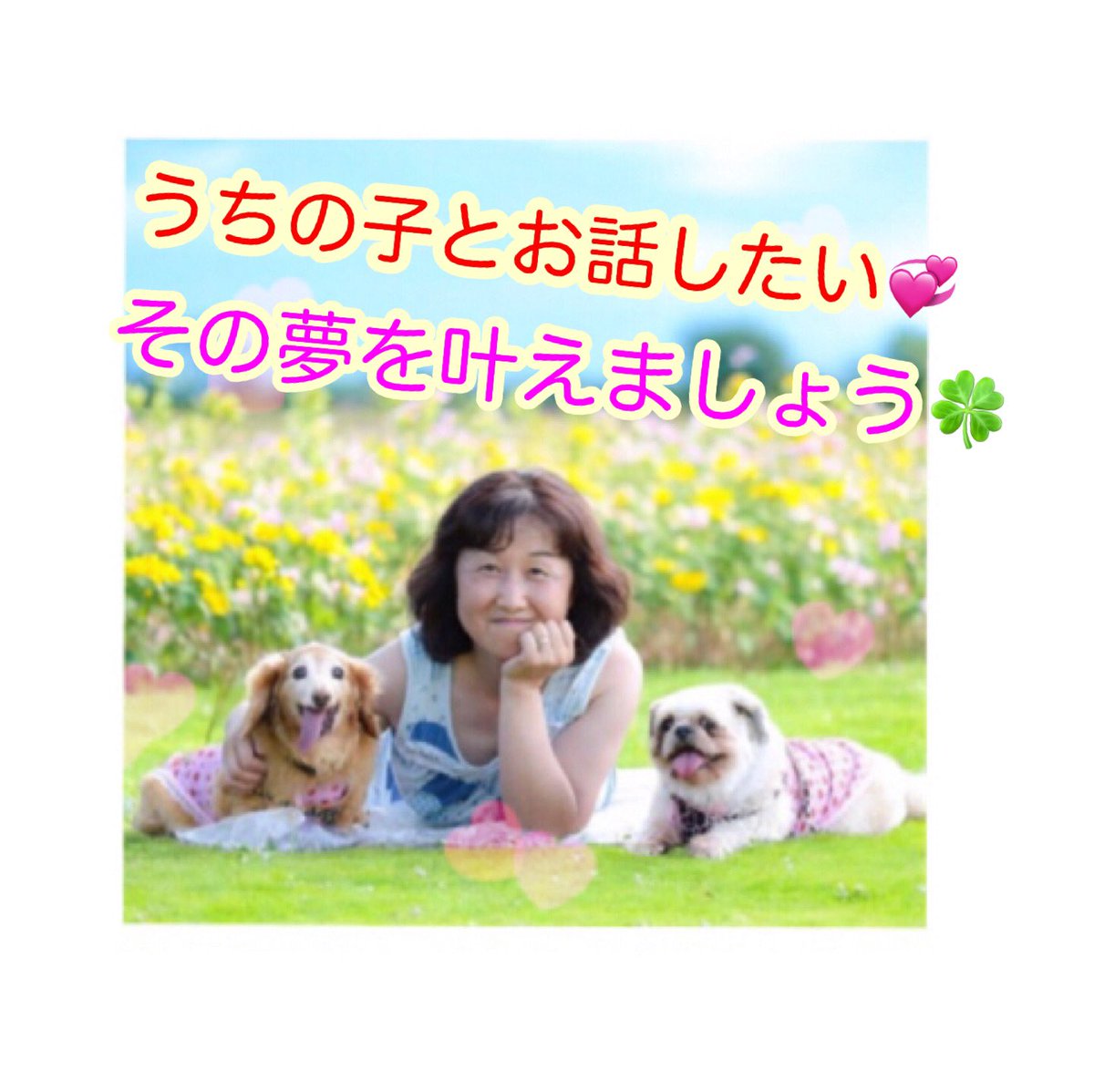 hinabon_love's tweet photo. ペットさんとの絆を深めてお話しよう💞心を繋げる【初めの一歩】

https://t.co/xTsN37xq88 https://t.co/w8kxUJGpRW
